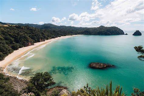 Port Jackson en New Chums Beach