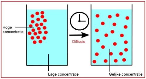 diffusie van beenruimte en stoeltypes