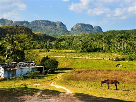 beeld van Vinales vallei en mogotes