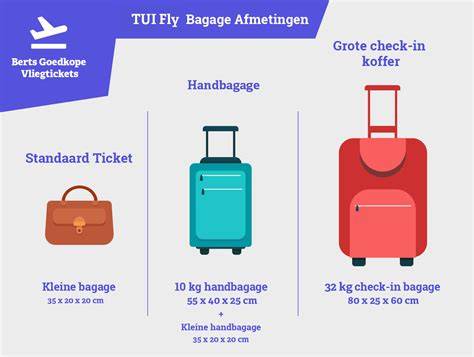 inforgrafiek handbagage afmetingen en regels
