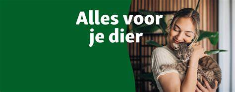 tips voor huisdierenbeleid en benodigdheden