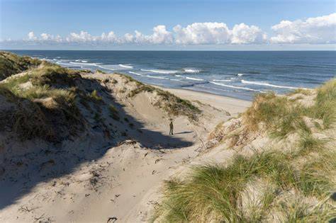 Vlieland natuur en kustlijn infographic