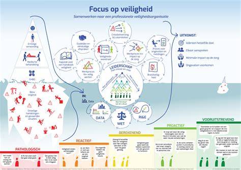 infographic met overzicht van autoverhuurvoorwaarden