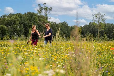 omgeving en activiteiten rondom het park