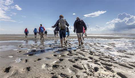 foto van Waddeneilanden en wadlopen
