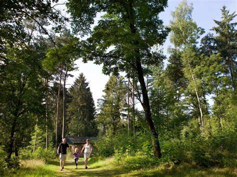 landal heideheuvel ligging bosrijke omgeving