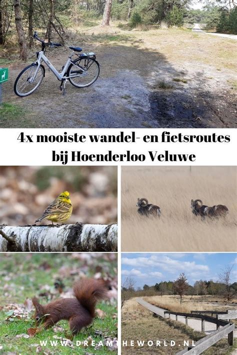 Veluwe wandel- en fietsroutes