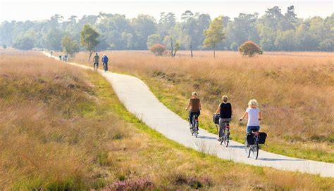 Impressieve Veluwe natuur en Avonturenhof