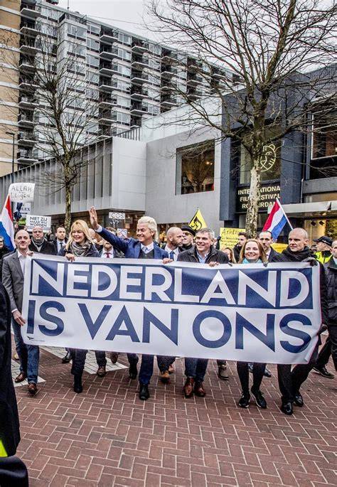 ontdekking van populaire huurauto soorten in Leiden