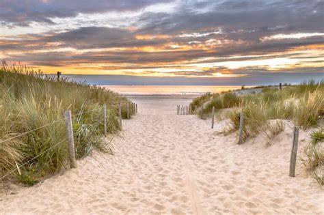zon, stranden en boerderij-pluimen