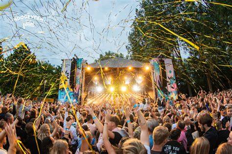 Infographic zomerfestival en optredens