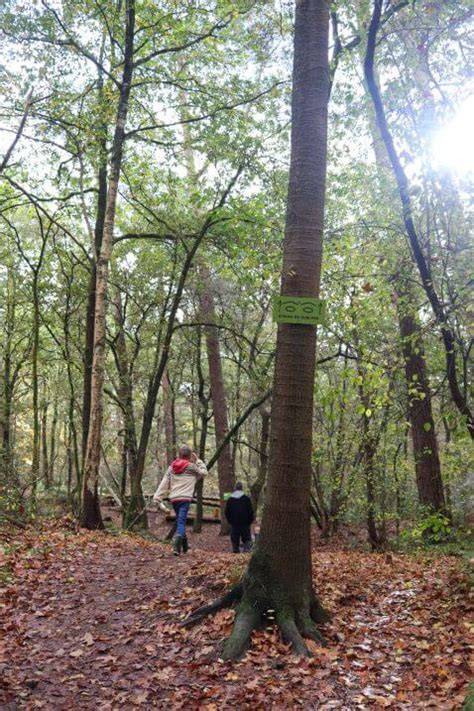 Kindvriendelijke wandelroute Ballum KrÃ»meltjesspoor