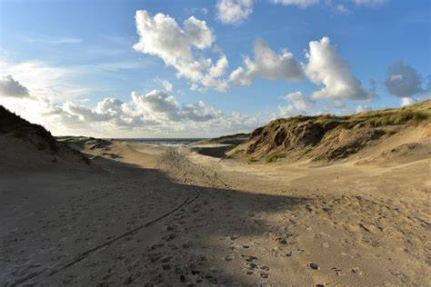 Beach Houses bereikbaar via trap en duinenpad