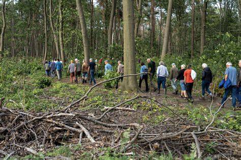 natuurgebied Wijboschbroek Veghel