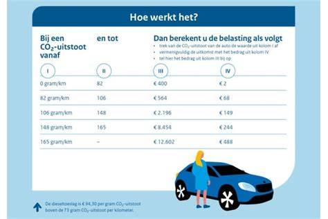 auto-typen en capaciteit in Castricum (infographic)
