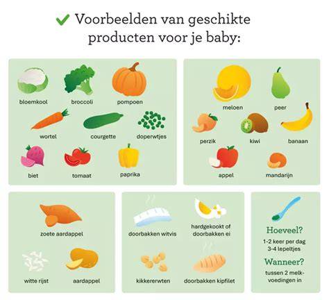 Infographic: Voeding onderweg voor baby's
