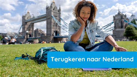 terugkeer naar nederland infographic