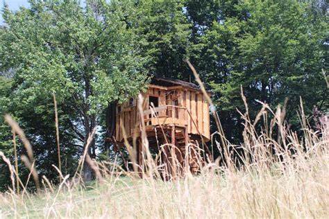 Treehouse Toplak