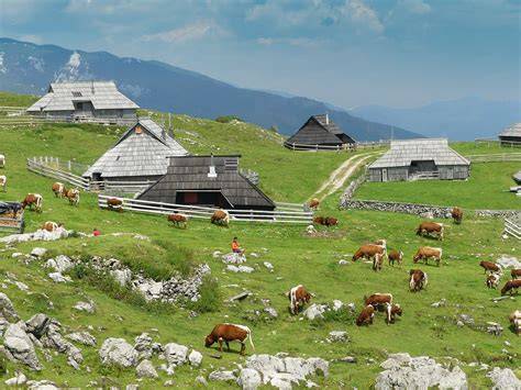 Velika Planina alpennatuur