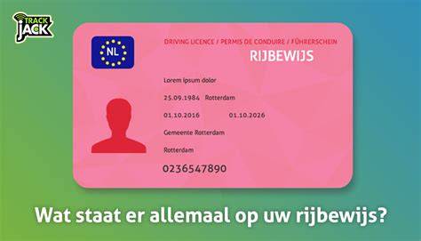 caravangewicht en rijbewijs infographic
