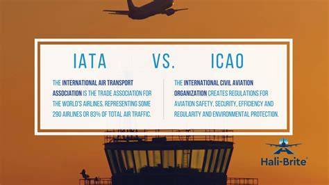 IATA vs ICAO codes infographic