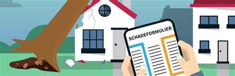 inforgrafiek: stappen bij schade claimen