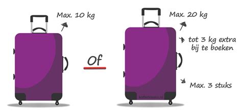Bagage regels en ruimbagage infographic