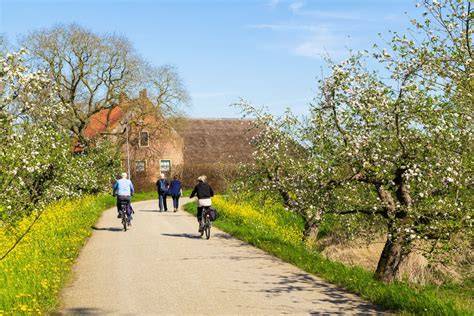 Wandelroutes en fietsroutes in de lente