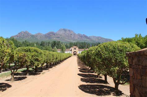 overnachten-kindvriendelijk-wijnboerderijen-stellenbosch